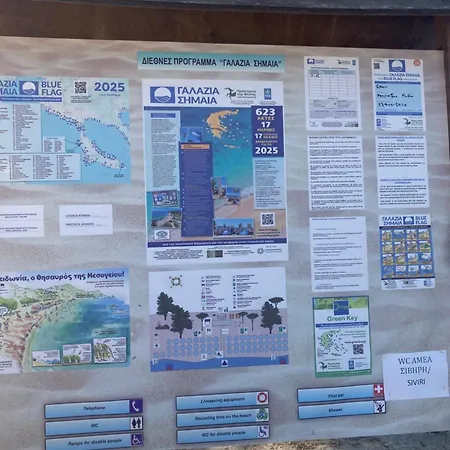 Elani Bliss カッサンドレイア