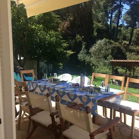 Elani Bliss カッサンドレイア