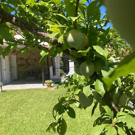 Elani Bliss Villa Kassandria