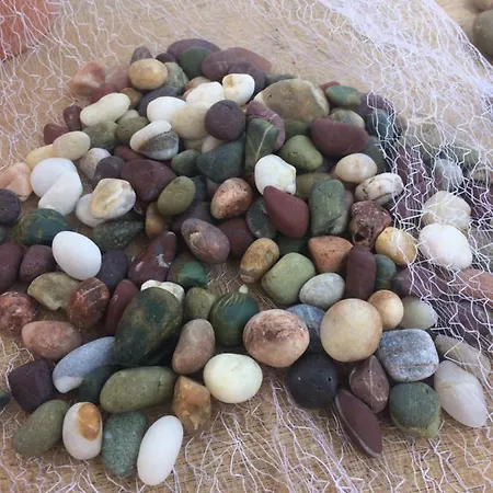 Elani Bliss * Kassandreia