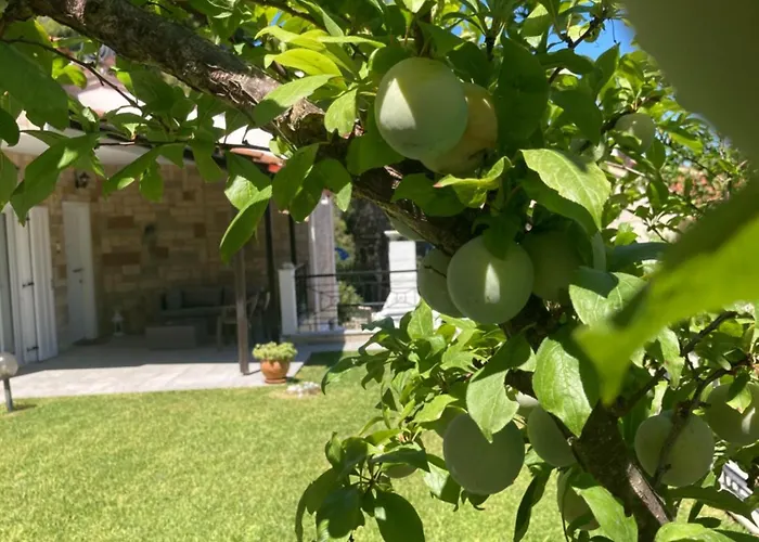 Elani Bliss Villa Kassandria